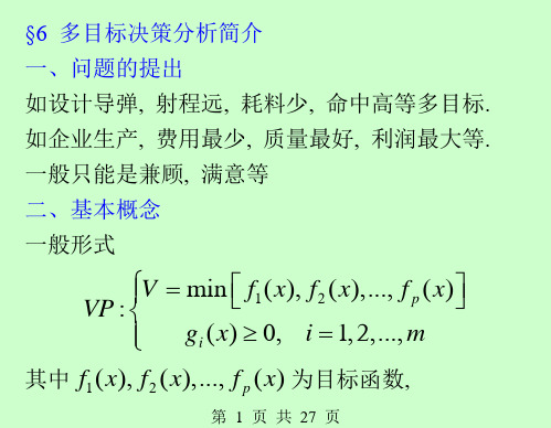 第七章约束极值问题