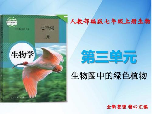 2019年人教版七年级上册生物第三单元生物和生物圈全套课件