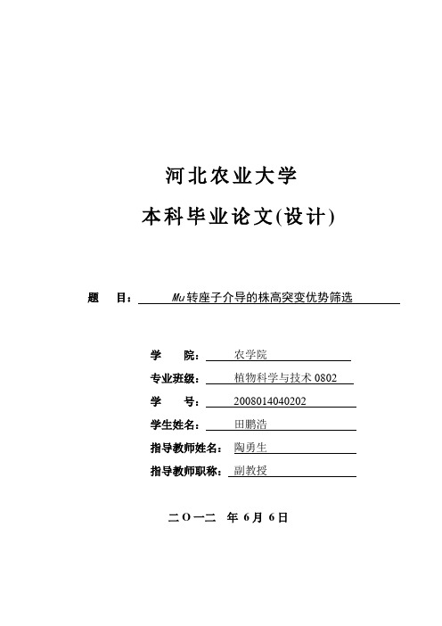 mu转座子介导的株高突变优势筛选