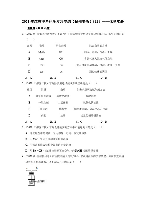 2021年江苏中考化学复习专练(扬州专版)(11)——化学实验