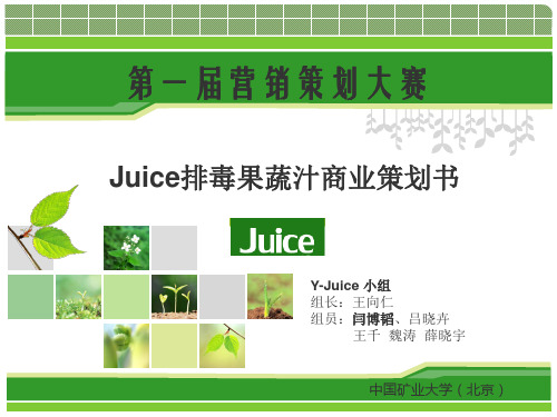 03Y-juice排毒果蔬汁商业策划书.ppt-中国矿业大学(北京)管理学院