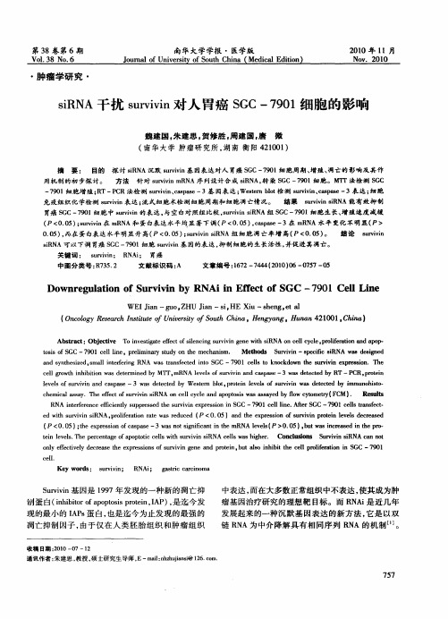siRNA干扰survivin对人胃癌SGC-7901细胞的影响