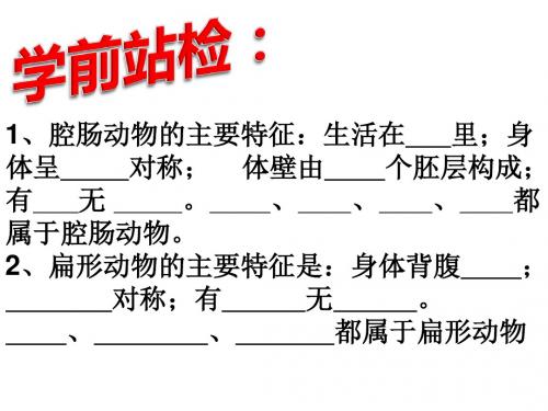 线形动物和环节动物