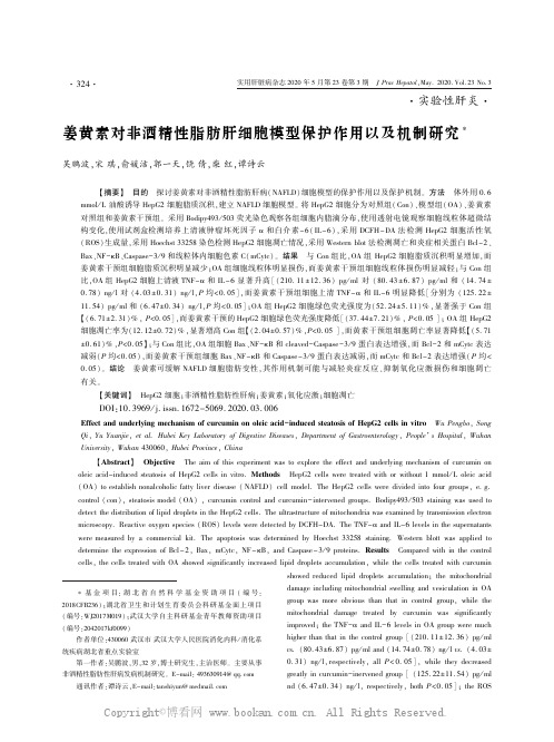 姜黄素对非酒精性脂肪肝细胞模型保护作用以及机制研究