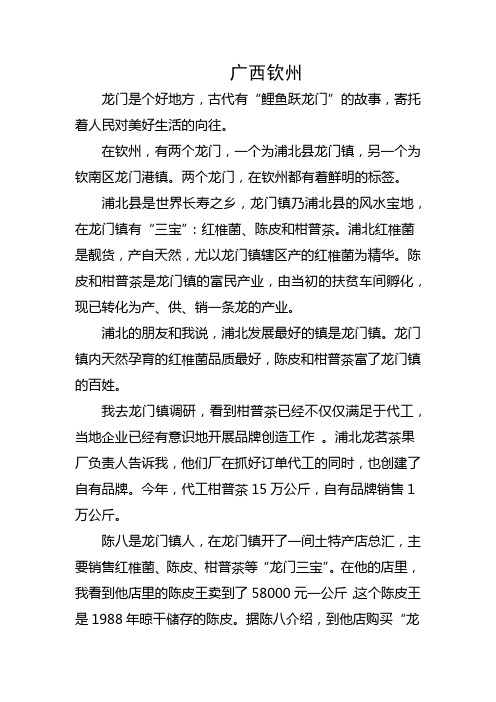 山水游记作文800字关于广西钦州的故事