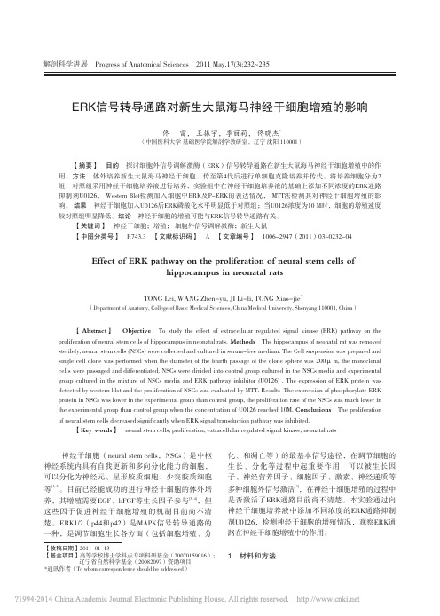 ERK信号转导通路对新生大鼠海马神经干细胞增殖的影响_佟雷