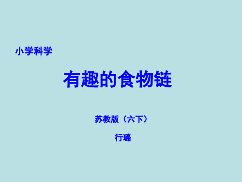 六年级下 有趣的食物链 苏教版实用PPT (共14张PPT)