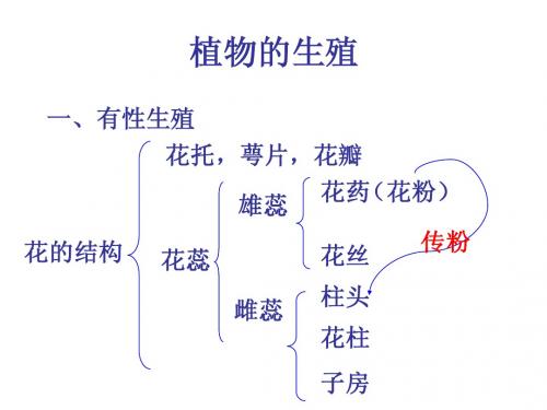 生物植物的生殖