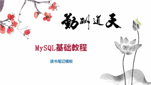 MySQL基础教程