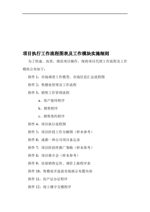 项目执行工作流程图表及工作模块实施细则