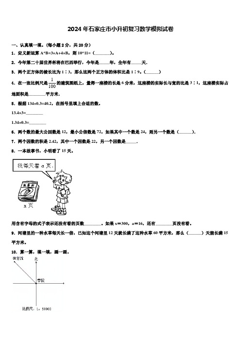 2024年石家庄市小升初复习数学模拟试卷含解析