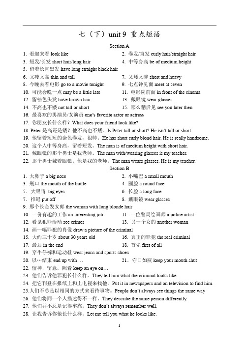 初中英语 湖北省武汉市武汉第二初级中学七年级下册 Unit 9  重点短语和句型