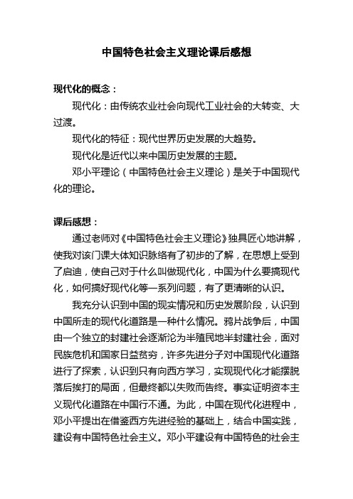 中国特色社会主义课后感想