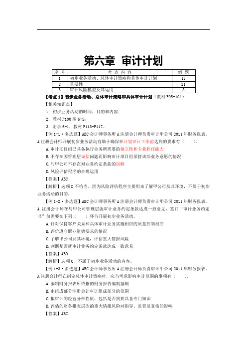 第六章  审计计划