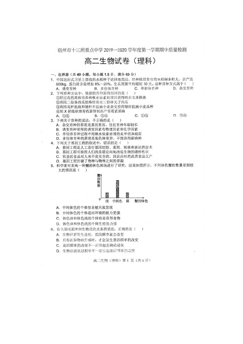 2019-2020学年安徽省宿州市十三所省重点中学高二上学期期中联考生物试题 扫描版