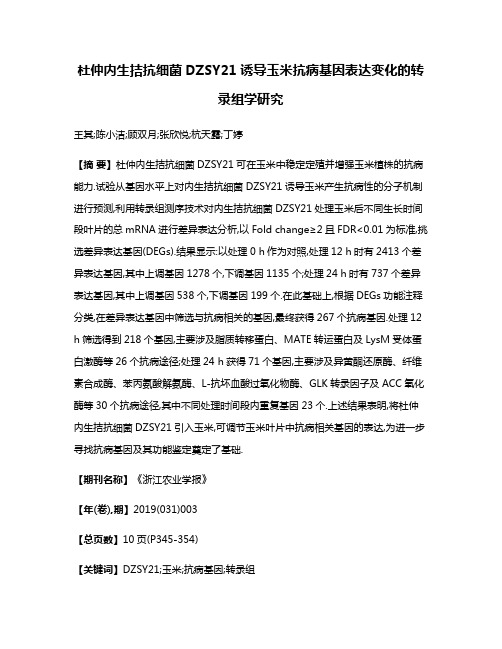 杜仲内生拮抗细菌DZSY21诱导玉米抗病基因表达变化的转录组学研究