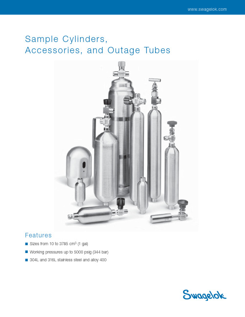 swagelok 样本气瓶，配件和停工管 2说明书