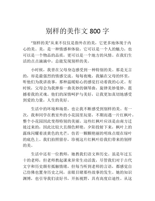 别样的美作文800字