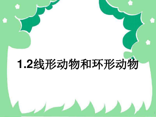 人教版八年级生物上册第五单元第一章第二节线性动物和环节动物(共14张PPT)