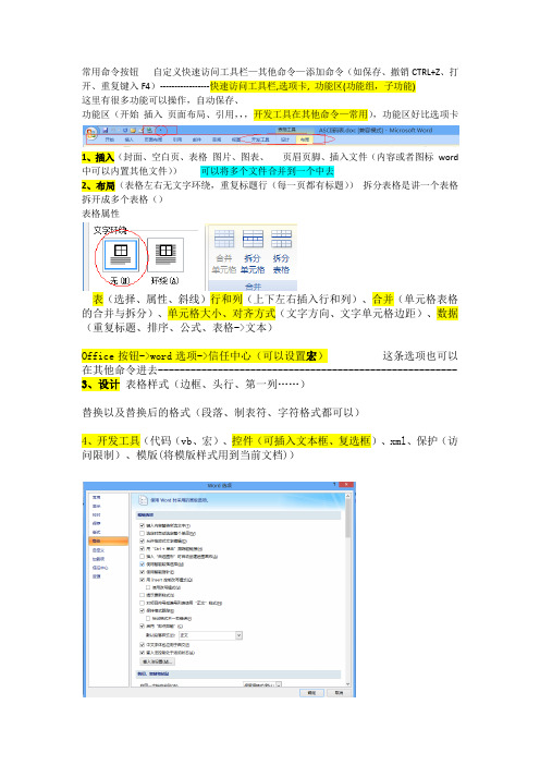 常用命令按钮   自定义快速访问工具栏