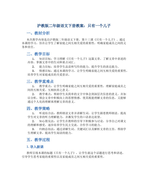 沪教版二年级语文下册教案只有一个儿子