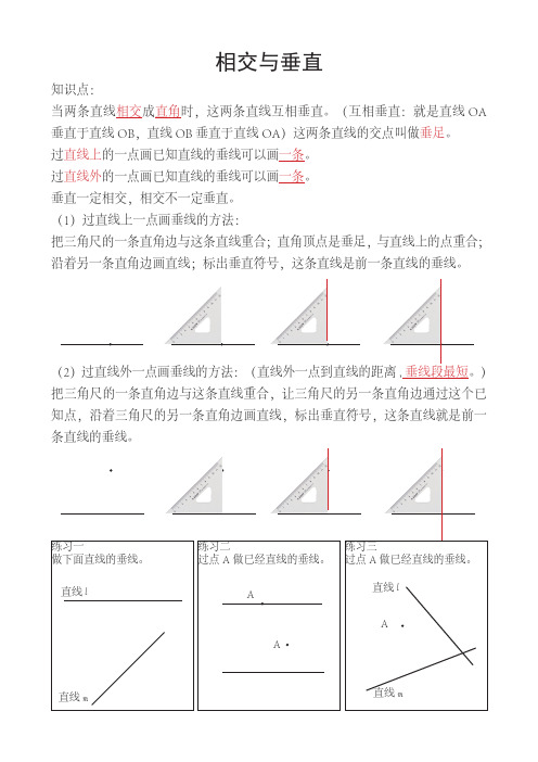 北师版数学四年级上册相交与垂直练习题