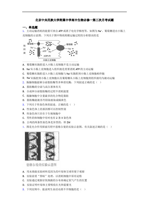 北京中央民族大学附属中学高中生物必修一第三次月考试题