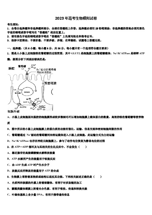 2022-2023学年北京西城8中高三第二次联考生物试卷含解析