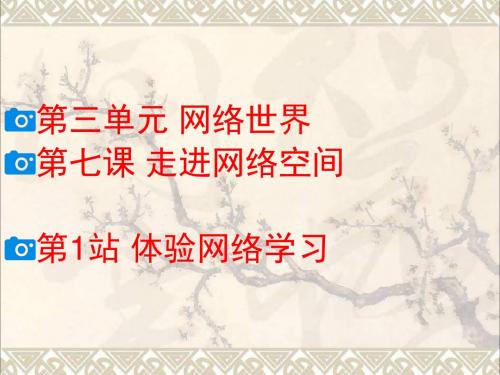 八年级道德与法治上册第三单元网络世界第七课走进网络空间体验网络学习课件教科