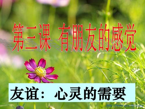 思想品德：第二单元《友谊的天空》课件(教科版八年级上)(2)