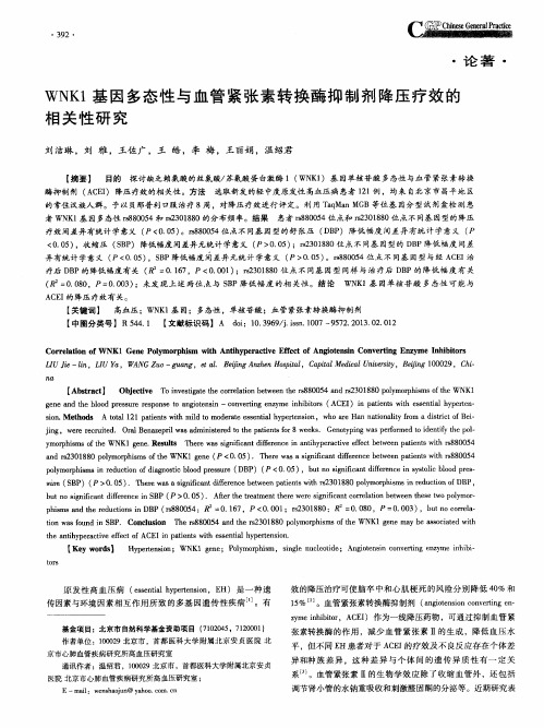 WNK1基因多态性与血管紧张素转换酶抑制剂降压疗效的相关性研究