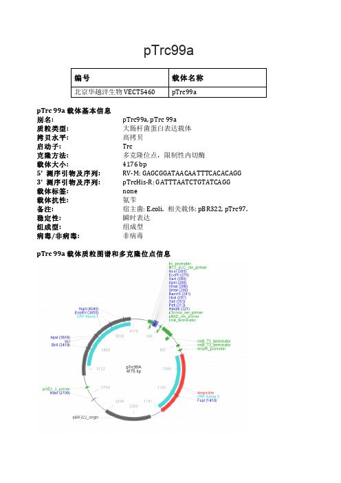 pTrc99a大肠杆菌表达载体说明