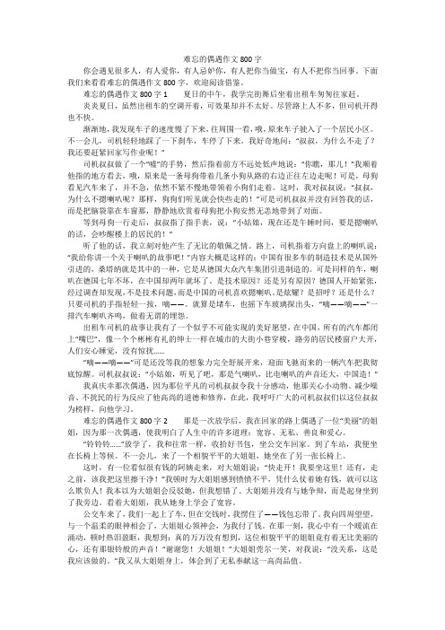 难忘的偶遇作文800字