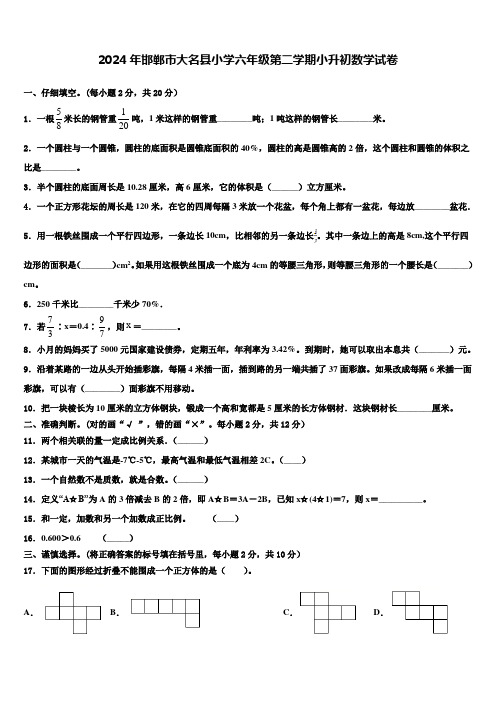 2024年邯郸市大名县小学六年级第二学期小升初数学试卷含解析