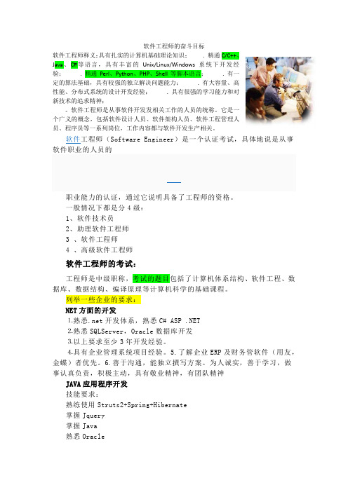 软件工程师