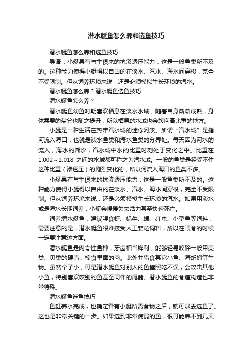 潜水艇鱼怎么养和选鱼技巧