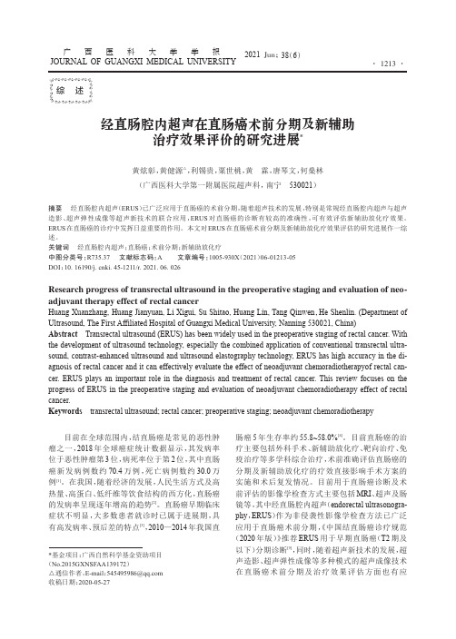 经直肠腔内超声在直肠癌术前分期及新辅助治疗效果评价的研究进展