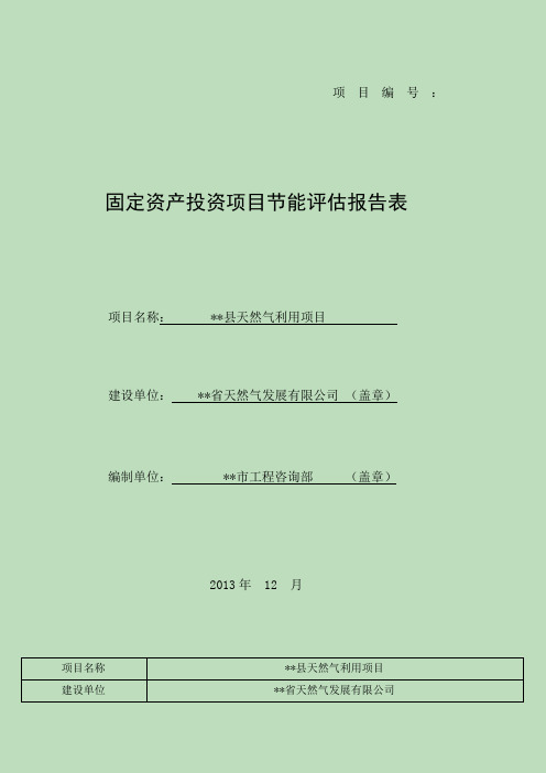 天然气利用项目节能评估报告