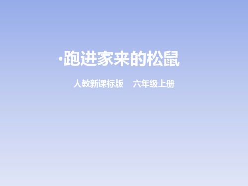 六年级上册语文课件：第二十二课 跑进家来的松鼠 人教新课标 (共21张PPT)