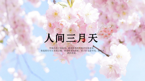 浪漫樱花人间三月天PPT模板