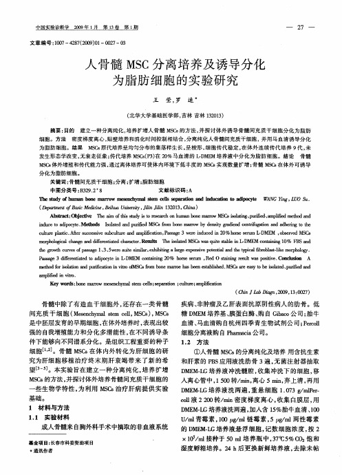 人骨髓MSC分离培养及诱导分化为脂肪细胞的实验研究