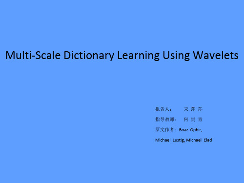 基于小波的多尺度字典学习ppt