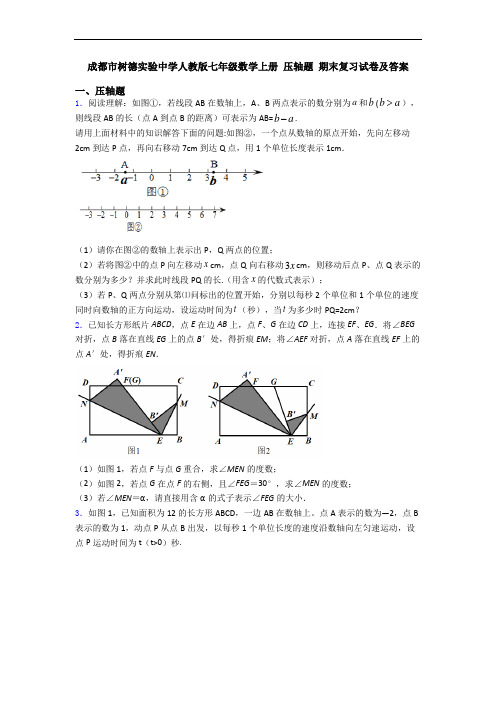 成都市树德实验中学人教版七年级数学上册 压轴题 期末复习试卷及答案