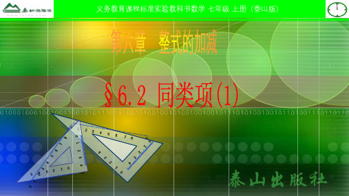 七年级数学上册第六章整式的加减6.2同类项1课件新版青岛版