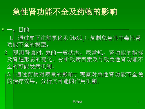 急性肾功能不全及药物的影响