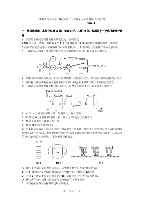 江苏省扬州中学2014届高三下学期4月阶段测试 生物试题