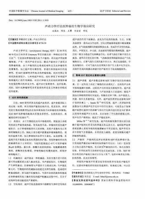 声动力学疗法抗肿瘤的生物学效应研究