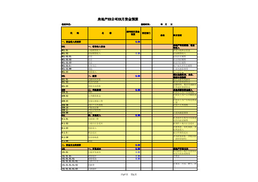 资金预算上报模板