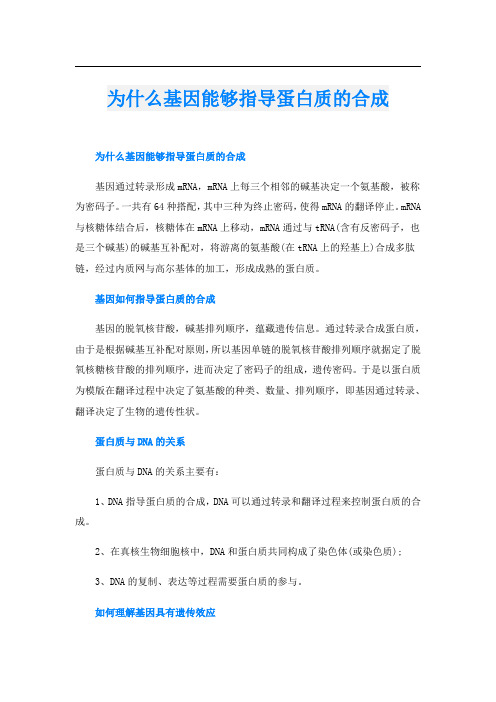 为什么基因能够指导蛋白质的合成