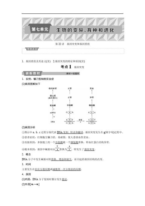 2019届高中生物一轮复习方案讲义：第7单元 1 第22讲基因突变和基因重组 Word版含答案